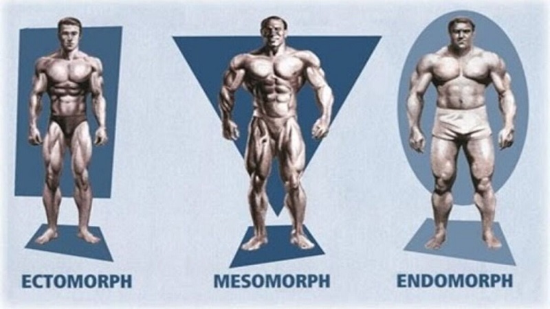 معرفی انواع تیپ بدنی | بهترین کلینیک لاغری اصفهان