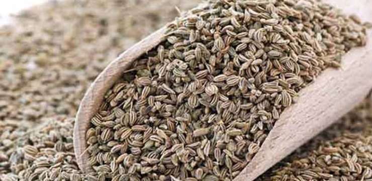 خواص و موارد مصرف گیاه زنیان | بهترین فیلر و بوتاکس اصفهان | کلینیک راشا