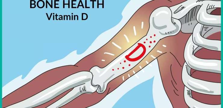 تأثیر ویتامین D بر سلامت استخوانی | بهترین دکتر تغذیه اصفهان | کلینیک راشا
