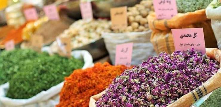 تأثیر گیاهان دارویی ایرانی بر کنترل دیابت | بهترین دکتر تغذیه اصفهان | کلینیک راشا